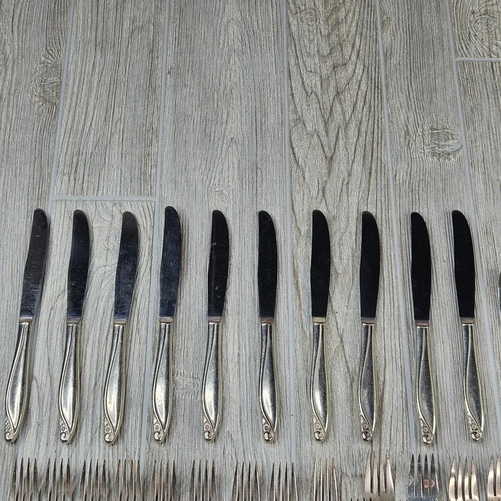 Wm. A. Rogers Oneida Flowertime Silver Overlaid Flatware Set 50 Pieces Vintage